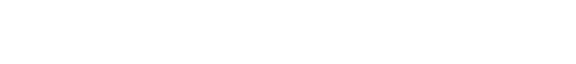 NovoPayment